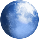 Логотип браузера Pale Moon