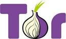 Логотип браузера TOR